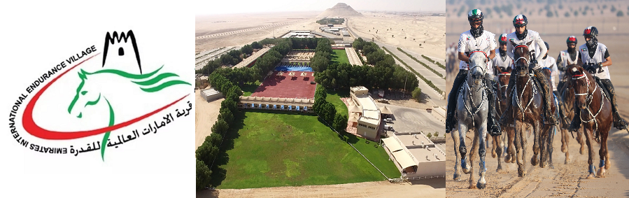 قرية الإمارات العالمية للقدرة تكثف استعدادها للمشاركة في الجولة الثانية من سلسلة سباقات القدرة والتحمل العالمية